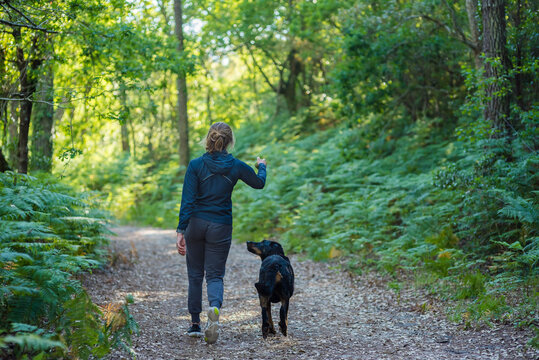 beautiful young woman walking in the forest with her dog