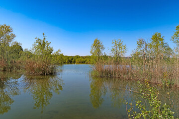 Fototapeta na wymiar Les étangs du parc de Miribel-Jonage
