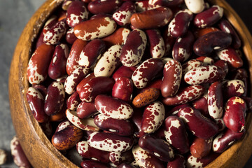 Raw Red Organic Cattle Kidney Beans