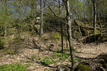 Felsenlabyrinth unterhalb der Ruine der Nordburg Lichtenstein in Lichtenstein, Naturpark Haßberge, Landkreis Hassberge, Unterfranken, Franken, Bayern, Deutschland