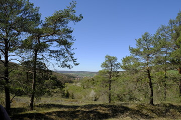 Landschaft und Weinberge bei Retzbach am Main, Landkreis Main-Spessart, Unterfranken, Bayern, Deutschland