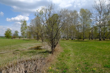 NSG Grettst&auml;dter Riedwiesen, Landkreis Schweinfurt, Unterfranken, Bayern, Deutschland