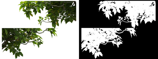 A wide variety of trees and shrubs
