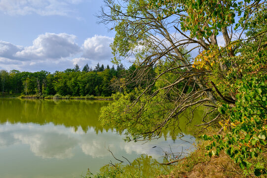 Naturwaldreservat Wolfsee im südlichen Steigerwald bei Dornheim, Landkreis Kitzingen, Franken, Unterfranken, Bayern, Deutschland