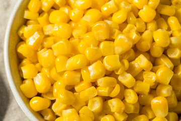 Homemade Organic Steamed Yellow Sweet Corn