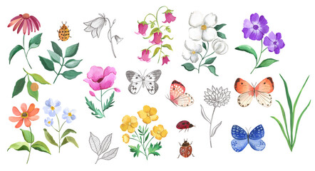 Watercolor botanical floral illustration with wildflowers and butterflies 