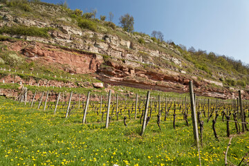 Der Blütengrund im Naumburger Ortsteil Großjena, Burgenlandkreis, Sachsen-Anhalt, Deutschland