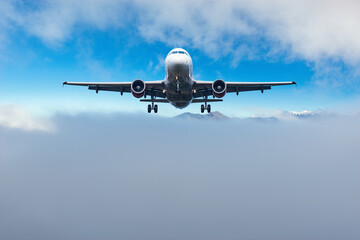 Passenger plane is ready for landing in the sky.