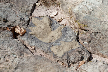Geotop Saurierspuren bei Euerdorf, Landkreis Bad Kissingen, Unterfranken, Bayern, Franken, Deutschland