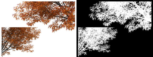 A wide variety of trees and shrubs
