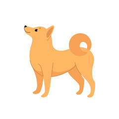 Schipperke dog. Cute dog character. Vector illustration in cartoon style for poster, postcard.