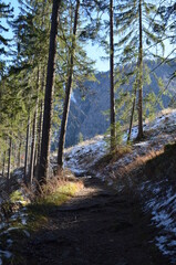 path in forest near Maria Schutz (Austria)