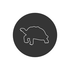 Turtle line icon, vector illustration in flat
