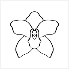 Doodle orchid icon isolated on white. Hand drawn sketch. Flower coloring page book. Vector stock illustration. EPS 10 
