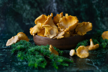 Chanterelle mushrooms close-up on a dark green background.
