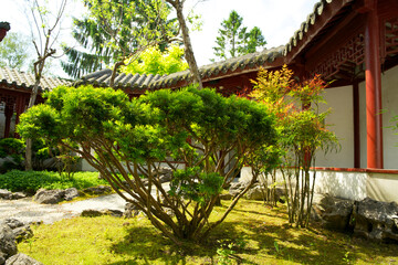 Chinese gardens in the hortus botanicus of Groningen early summer