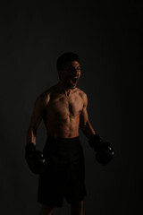 Fototapeta na wymiar Boxer on gray background in shadows