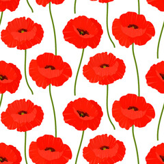 Obraz premium Seamless pattern poppies flowers vector illustration. Provence wildflowers 