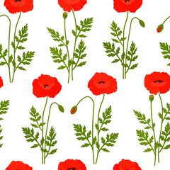 Seamless pattern poppies flowers vector illustration. Provence wildflowers	