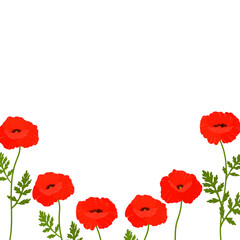 Fototapeta na wymiar Frame poppies flowers vector illustration. Postcard provence wildflowers 