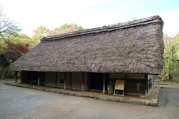 traditional japanese house - Powered by Adobe