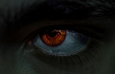 Naklejka premium eye in the dark