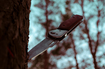 knife in the tree