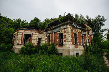 Fototapeta na wymiar Overgrown ruins of abandoned mansion. Former baron von Derviz manor, Ryazan region