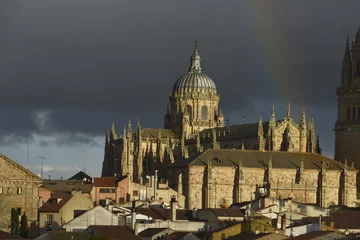 Deurstickers Università di Salamanca Spagna © apsc61