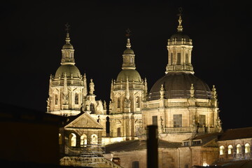 Fototapeta na wymiar Università di Salamanca Spagna