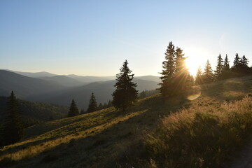 Morning in the mountains