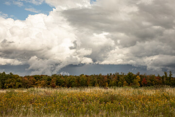 clouds over the field