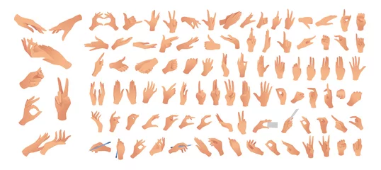 Fotobehang Gesturing. Set of hands in different gestures. Female hands in various situations. Hand showing signal or sign collection, on white background isolated. Wrist. ​vector illustration  © Olesia