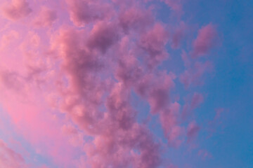 Pink sky with glimpses of light in the early morning.