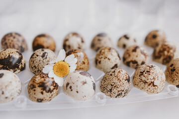 quail eggs in a package on a bright background for Easter