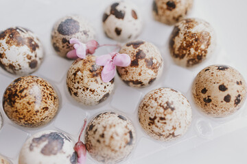Fototapeta na wymiar quail eggs in a package on a bright background for Easter