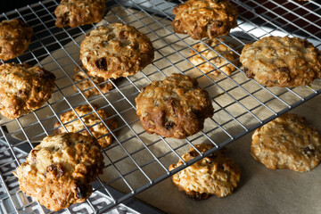 Freshly baked oatmeal raisin cookies cooling on cooling rake