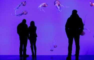 silhouette of persons in front of jellyfish