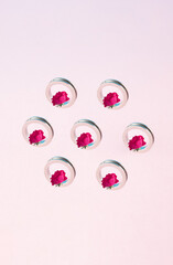 Red roses creative concept in a metal ring. Minimal arrangement on pastel pink background.