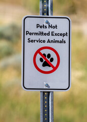 now pets signs allowed sign