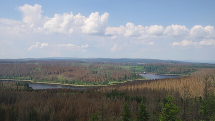 Eckerstausee - Blick von der Scharfensteinklippe, Sachsen-Anhalt, Deutschland, Europa