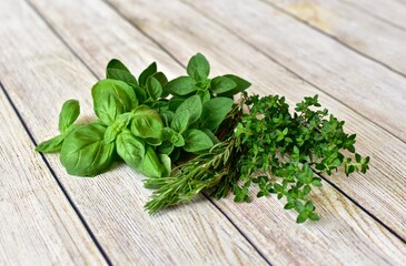 Fresh green herbs for preparing and cooking healthy Mediterranean or Italian diet. Food background, lifestyle, close-up, copy space