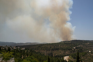 A Forest Fire in Israel