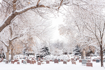 Cemetery in Winter - Fairmont Cemetery in Denver, Colorado with frosted trees from a fresh winter snow - obrazy, fototapety, plakaty