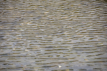 Rippled water surface of a lagoon at an ocean beach in central California on a windy and foggy day