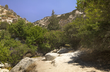 Avakas Gorge with steep rocks and river. Akamas peninsula, Cyprus.