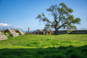 Fototapeta na wymiar landscape with a tree in new fortress