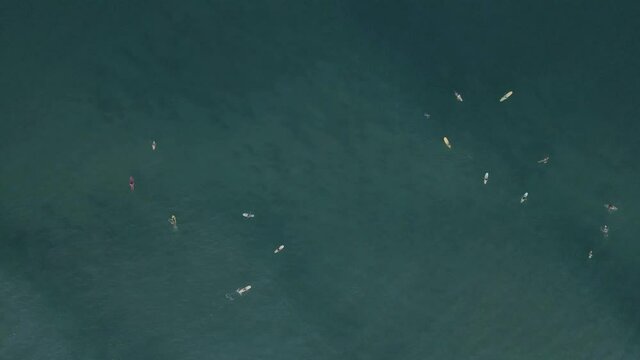 group of surfers patiently waiting in the ocean floating during a summer day