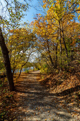 Nice walkway by the river - Beautiful fall in Central Canada