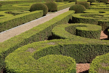Path through the labyrinth hedge garden, squared shape. Green maze. Panoramic view